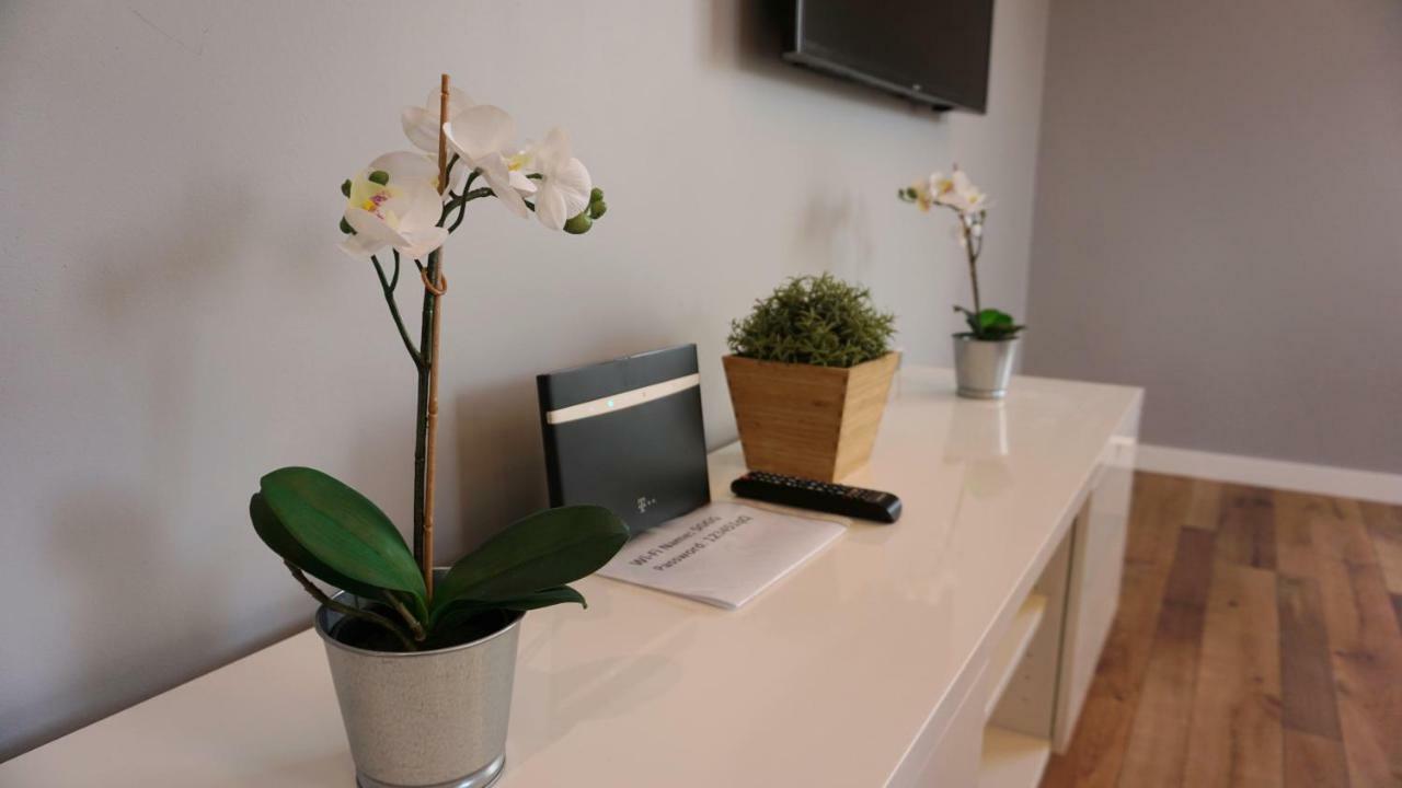 Apartament Lublin Centrum "Foxy Cat" מראה חיצוני תמונה